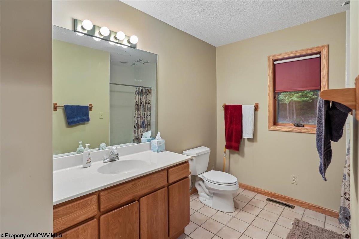2256 Cabin Mountain Road Davis, WV 26260 - Photo 25 of 43 Gallery Image 25