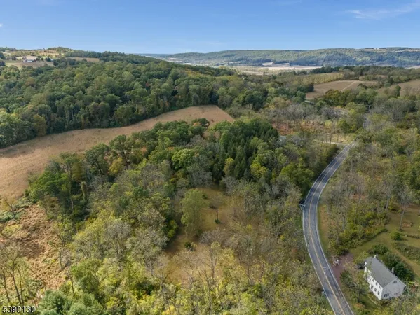 a view of a city with lush green forest