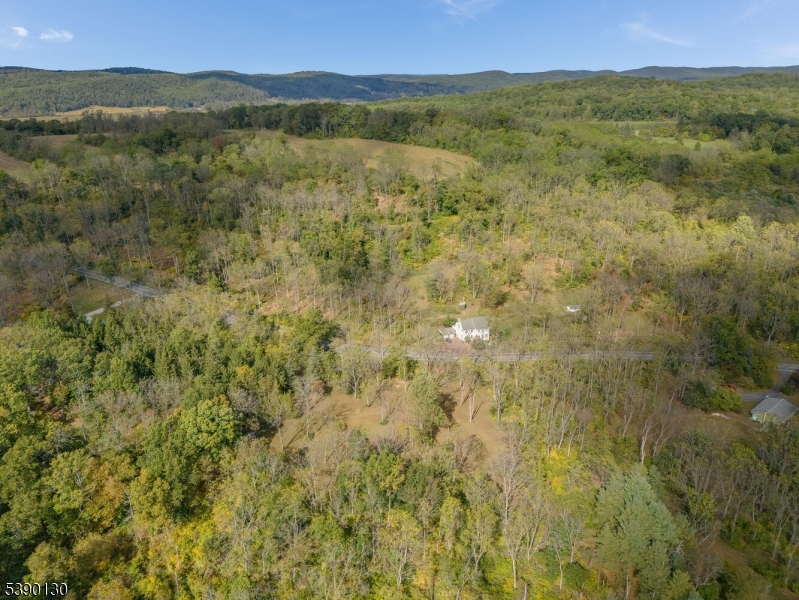 212 Asbury Broadway Road Asbury, NJ 08802 - Photo 17 of 25 a view of a lush green forest with mountain