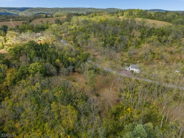 a view of a forest with beach and green space
