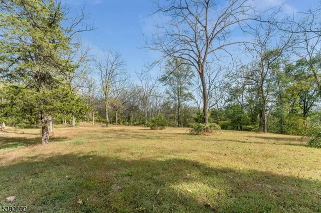 a view of dirt yard with large trees