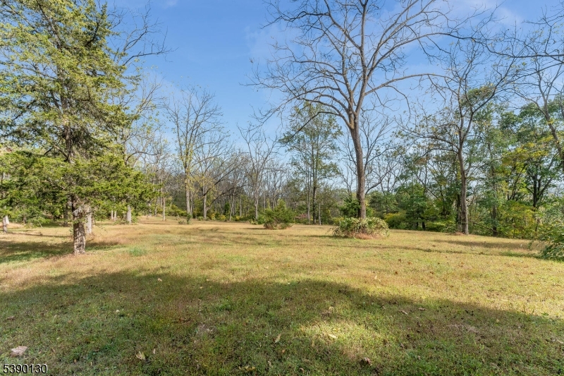 212 Asbury Broadway Road Asbury, NJ 08802 - Photo 4 of 25 a view of dirt yard with large trees