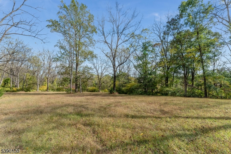 212 Asbury Broadway Road Asbury, NJ 08802 - Photo 5 of 25 a view of a yard with a tree