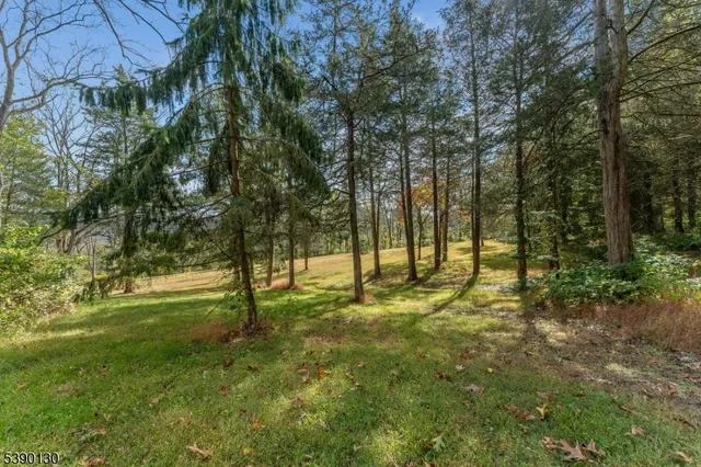 a view of yard with green space