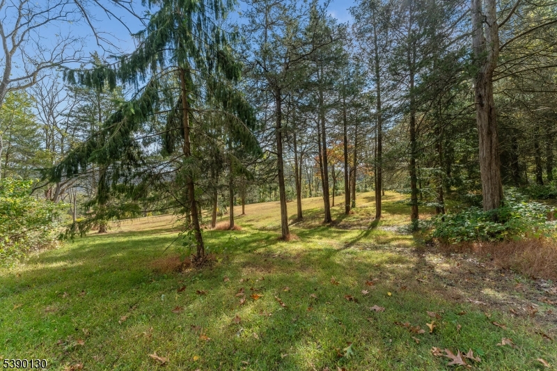 212 Asbury Broadway Road Asbury, NJ 08802 - Photo 6 of 25 a view of yard with green space