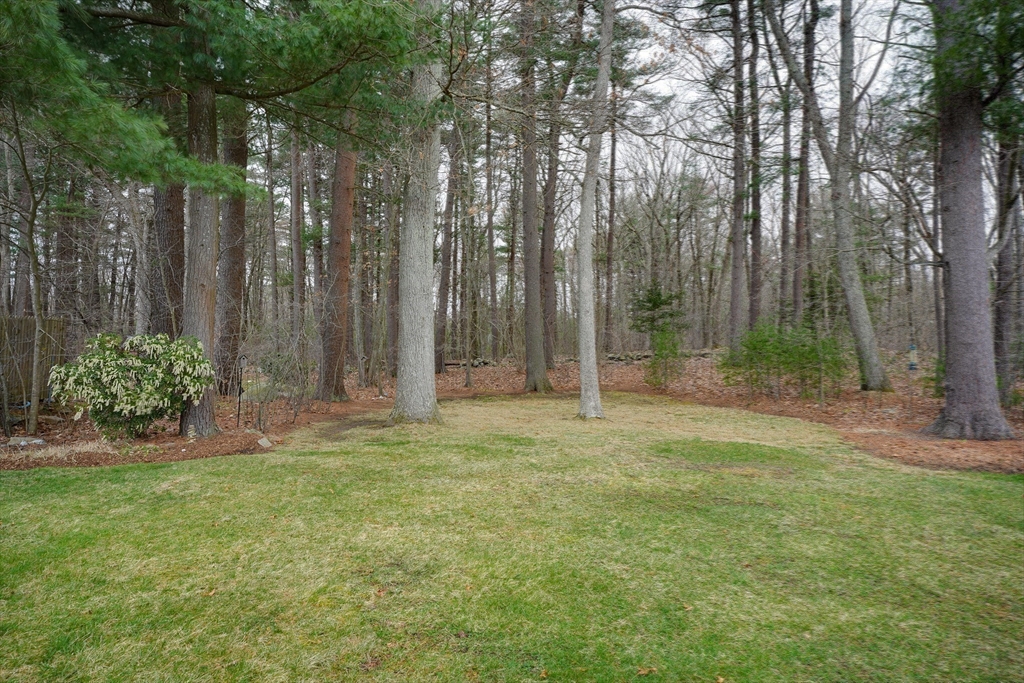 13 Jackson Road Burlington, MA 01803 - Photo 31 of 42 Gallery Image 31