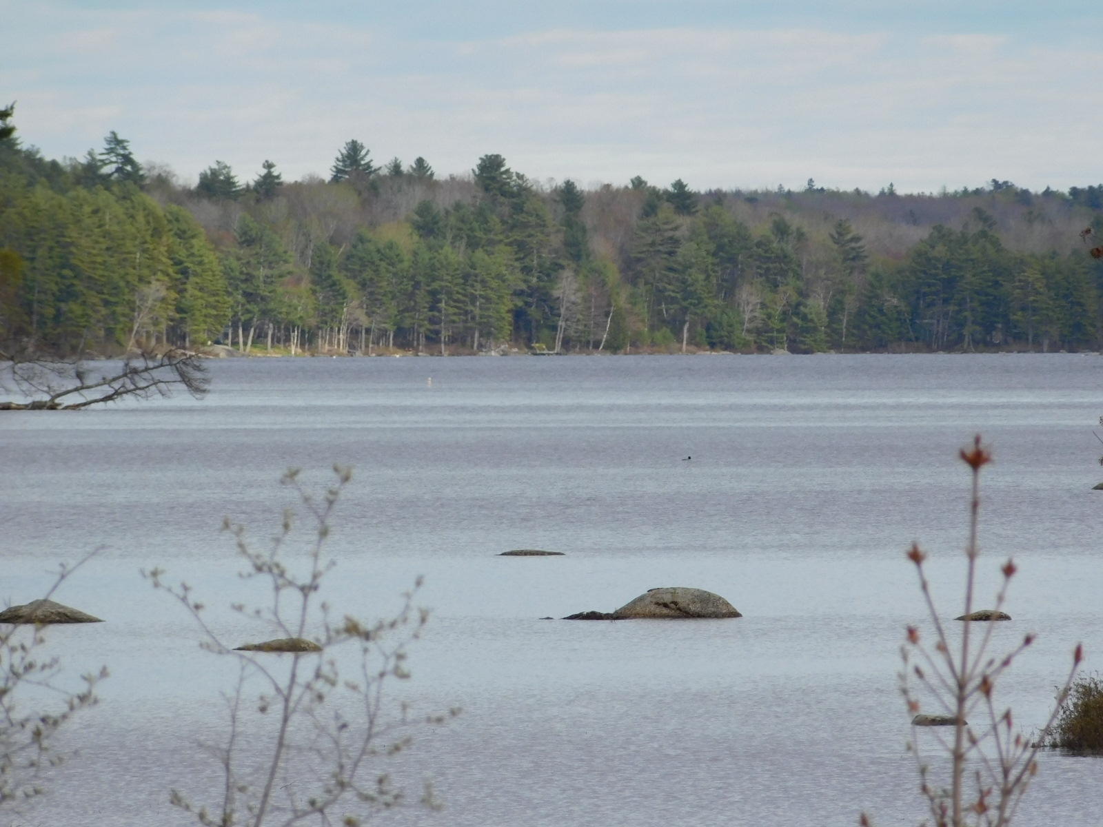 5 Hatchery Road Orland, ME 04472 - Photo 36 of 45 36