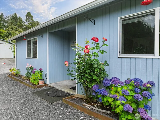a flower plants and a table