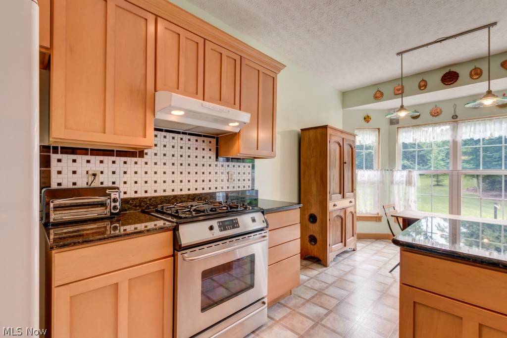 11780 Painesville Warren Road Painesville, OH 44077 - Photo 8 of 25 Gallery Image 8