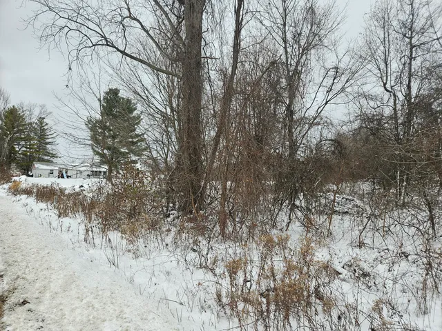 $75,000 | 11298 South Gordon Avenue, Grant, MI 49327