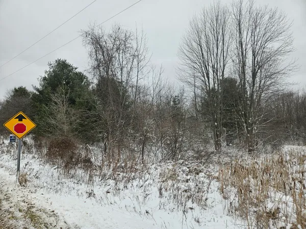 $75,000 | 11298 South Gordon Avenue, Grant, MI 49327