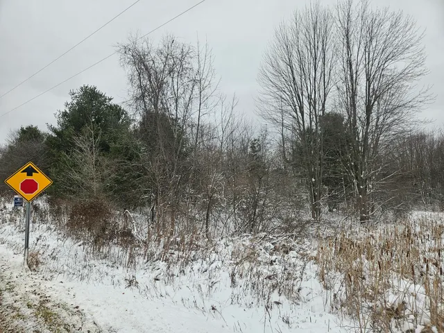 $75,000 | 11298 South Gordon Avenue, Grant, MI 49327