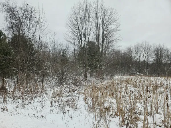 $75,000 | 11298 South Gordon Avenue, Grant, MI 49327