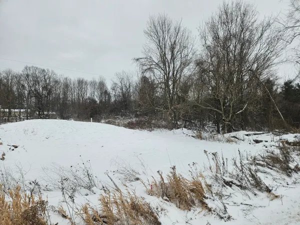$75,000 | 11298 South Gordon Avenue, Grant, MI 49327