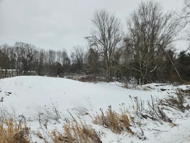 $75,000 | 11298 South Gordon Avenue, Grant, MI 49327