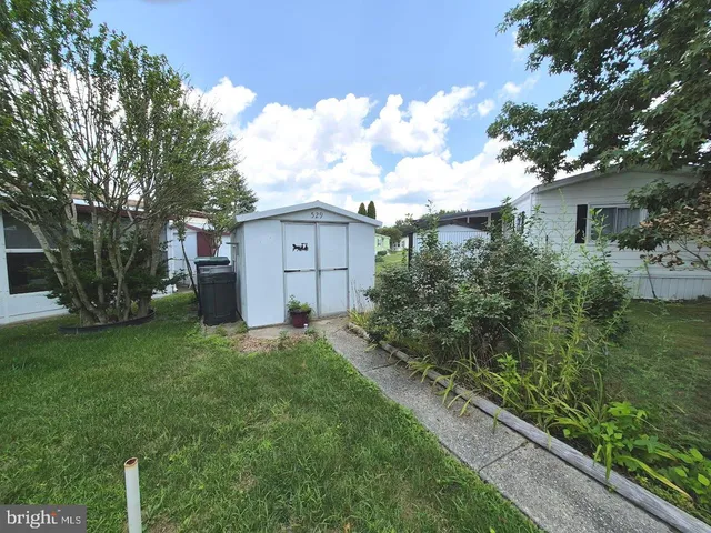 a view of a backyard with potted plants and large tree