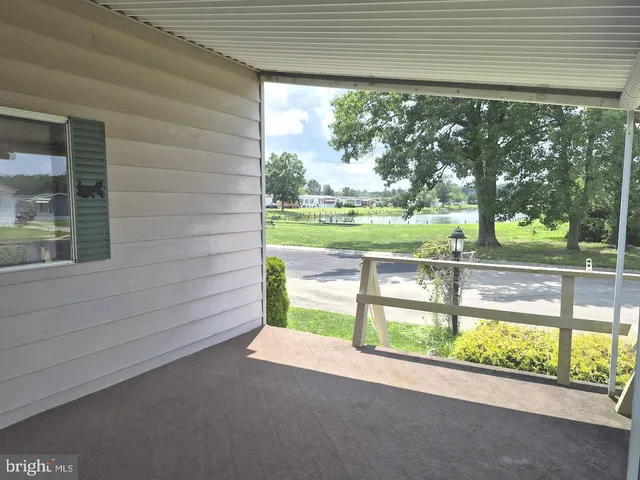 a view of a yard with a fountain and a large tree