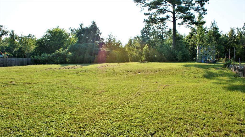 398 Owens Road Fort Mitchell, AL 36856 - Photo 15 of 17 a view of a lake view