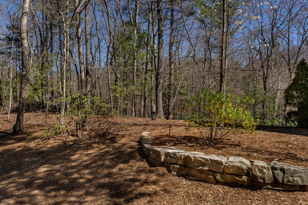 170 Lakota Trail Blue Ridge, GA 30513 - Photo 73 of 75 Gallery Image 73