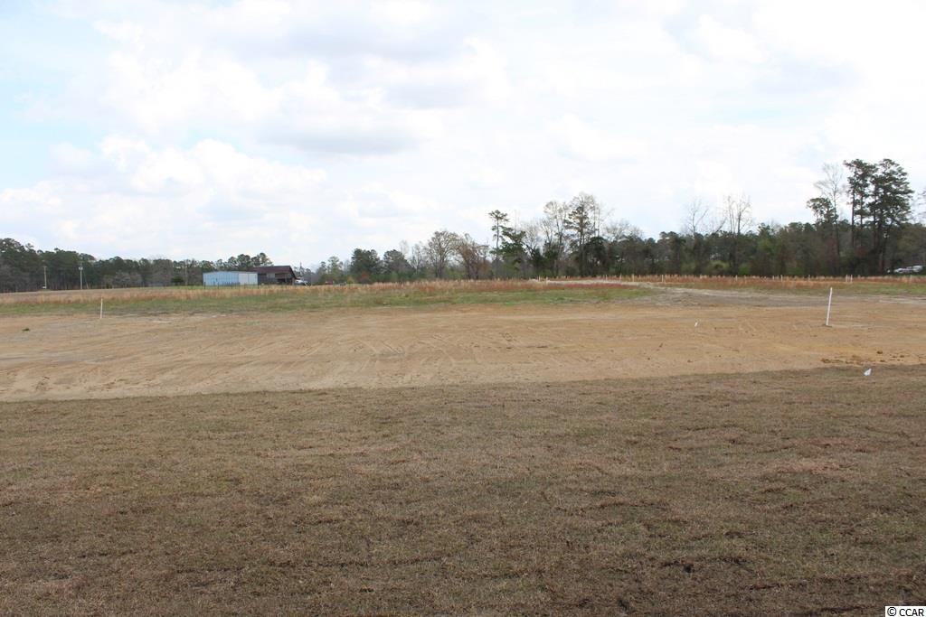 7817 Louisville Road Aynor, SC 29511 - Photo 22 of 27 Gallery Image 22