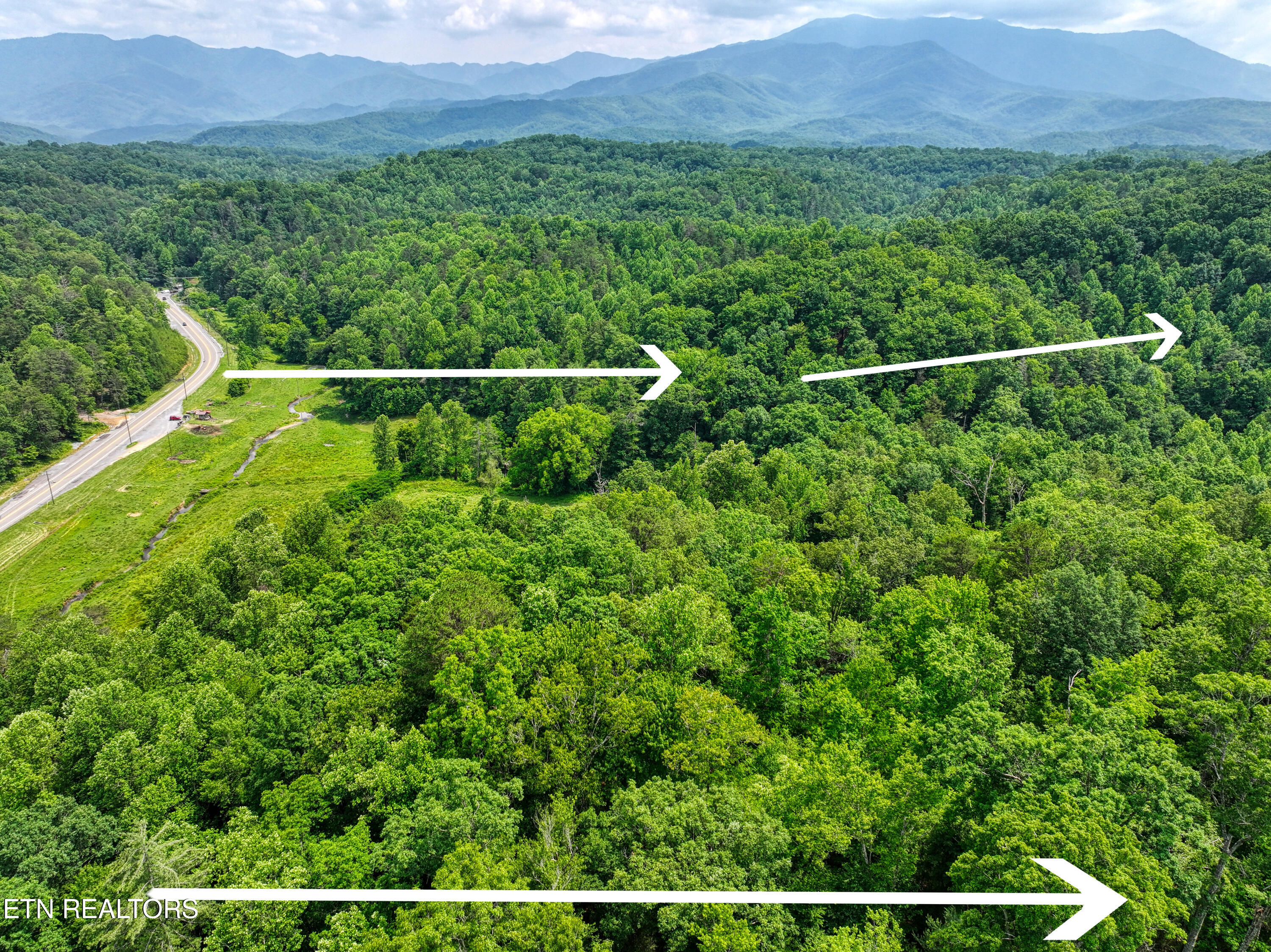 Birds Creek Road Gatlinburg, TN 37738 - Photo 11 of 45 DJI_20250611150129_0073_D_115