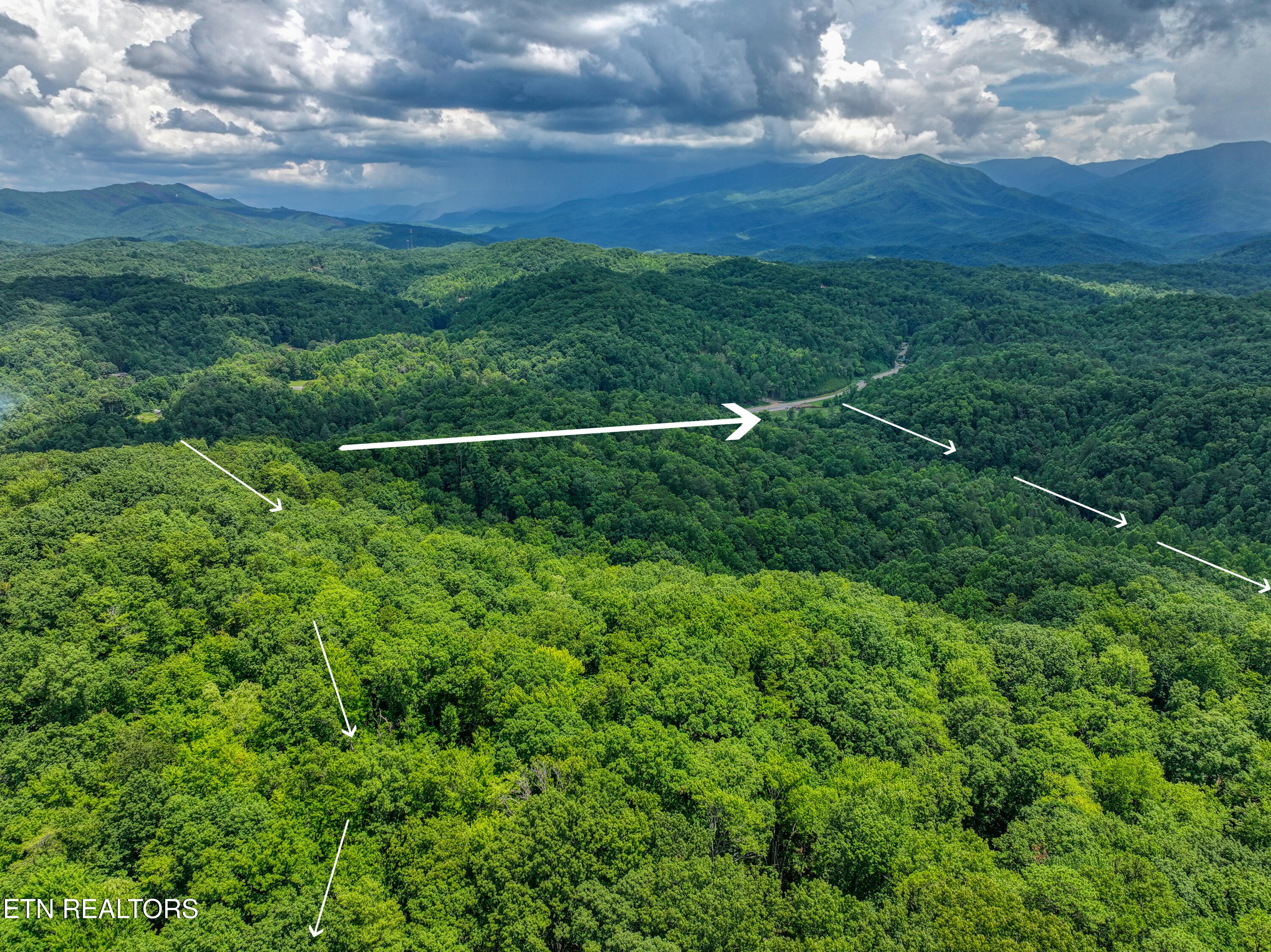 Birds Creek Road Gatlinburg, TN 37738 - Photo 12 of 45 DJI_20250715141054_0875_D_53