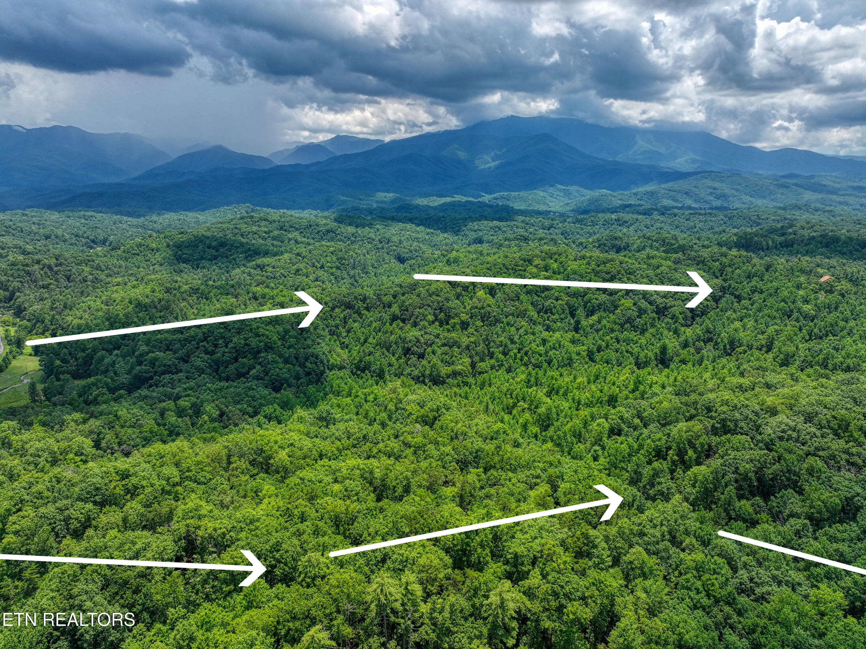 Birds Creek Road Gatlinburg, TN 37738 - Photo 13 of 45 DJI_20250715140050_0825_D_42