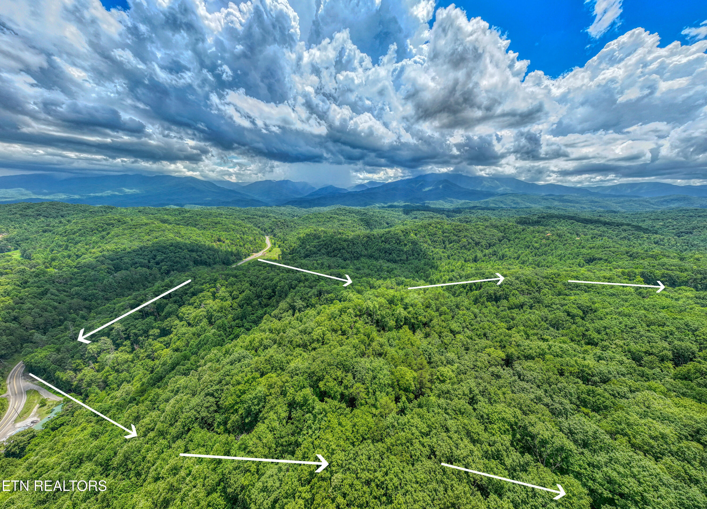Birds Creek Road Gatlinburg, TN 37738 - Photo 14 of 45 DJI_20250715135948_0818_D_39