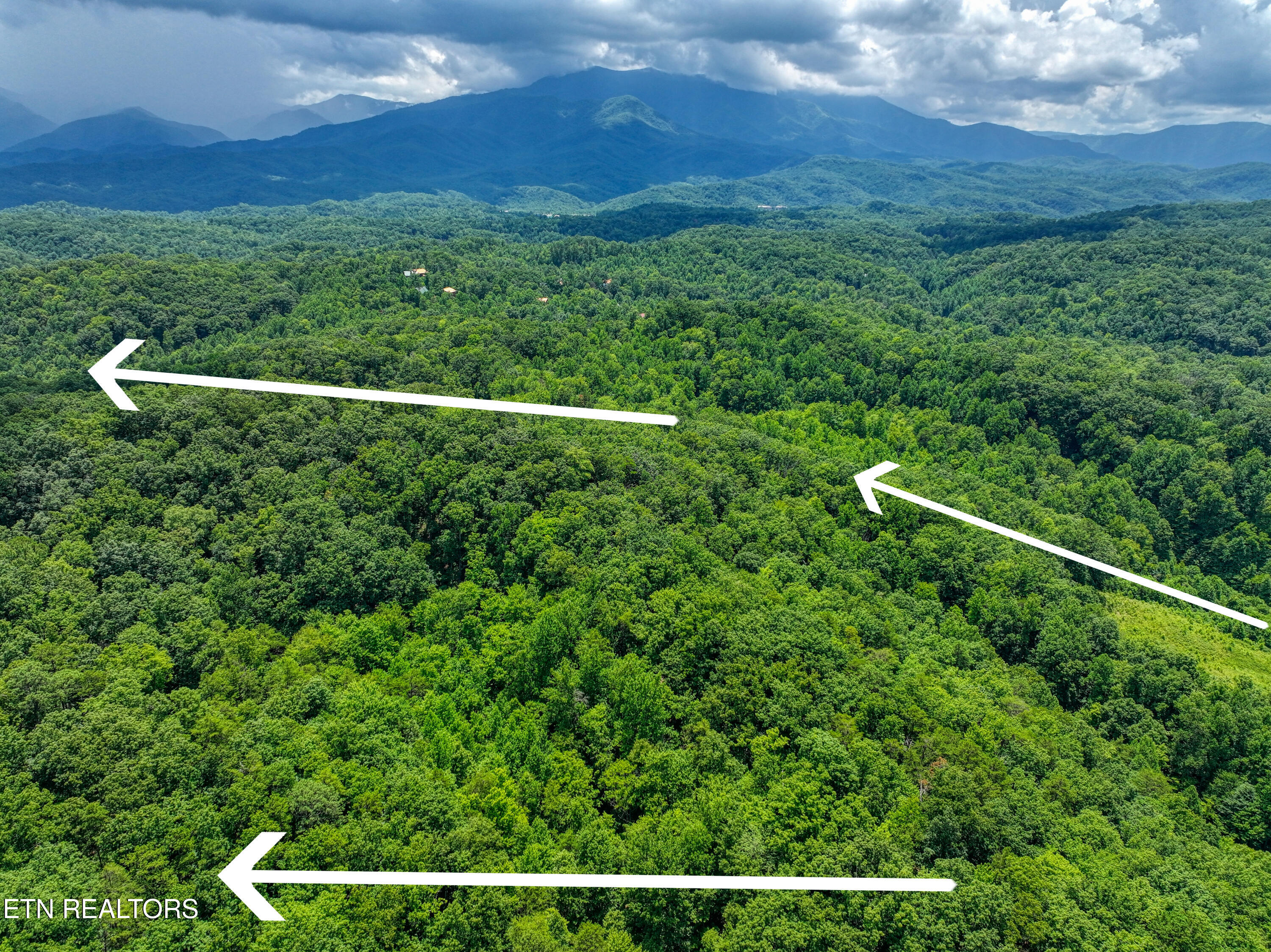 Birds Creek Road Gatlinburg, TN 37738 - Photo 16 of 45 DJI_20250715135651_0800_D_35