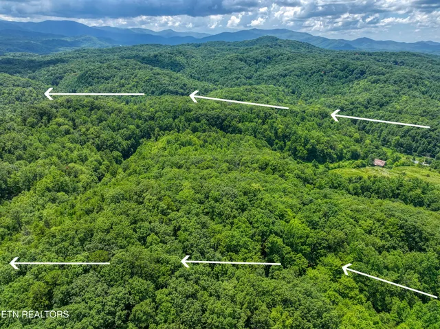 $6,500,000 | Birds Creek Road, Gatlinburg, TN 37738