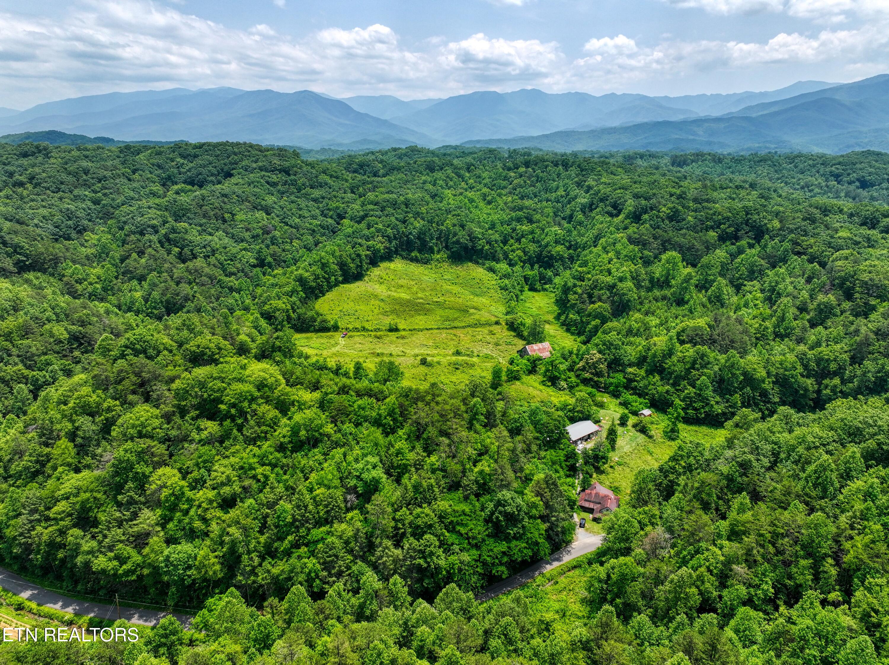 Birds Creek Road Gatlinburg, TN 37738 - Photo 30 of 45 DJI_20250611133030_0839_D_64