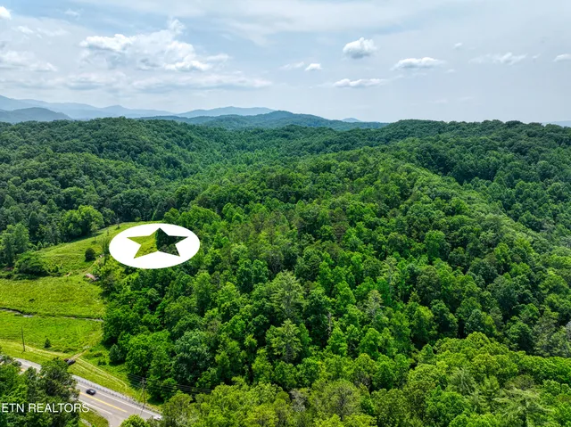 $6,500,000 | Birds Creek Road, Gatlinburg, TN 37738