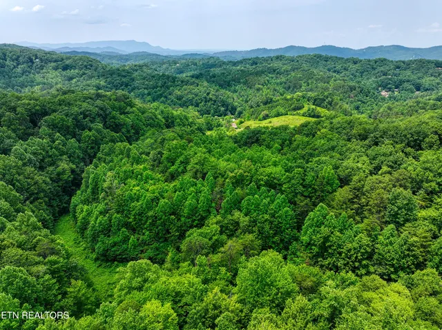 $6,500,000 | Birds Creek Road, Gatlinburg, TN 37738
