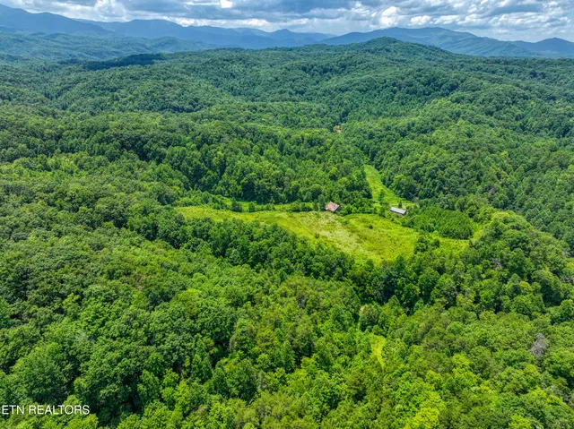 $6,500,000 | Birds Creek Road, Gatlinburg, TN 37738