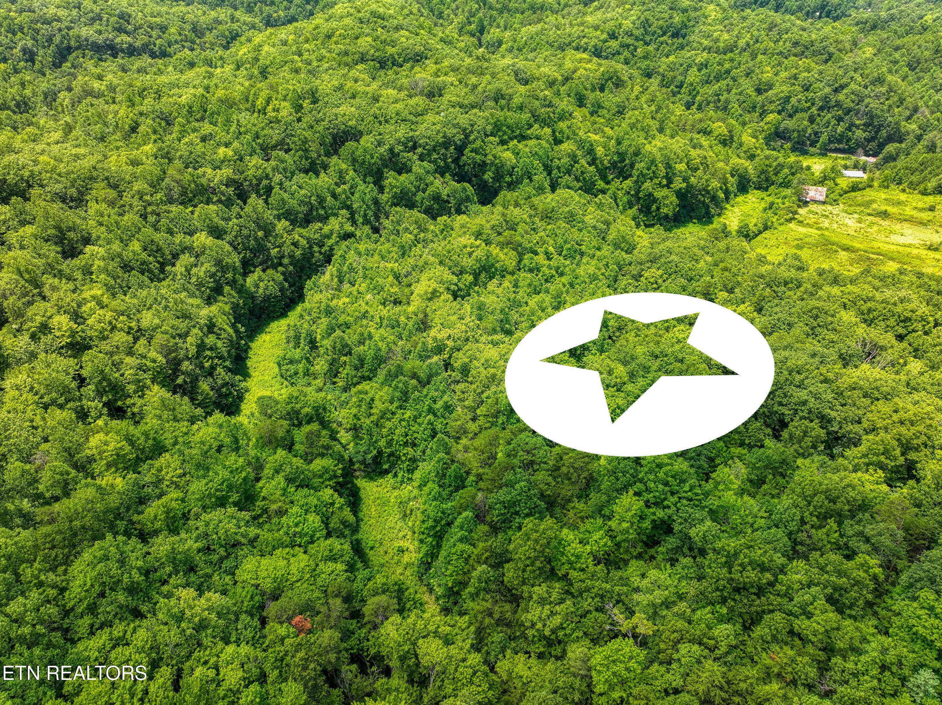 Birds Creek Road Gatlinburg, TN 37738 - Photo 35 of 45 DJI_20250715140823_0849_D_48