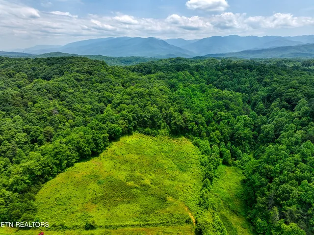 $6,500,000 | Birds Creek Road, Gatlinburg, TN 37738