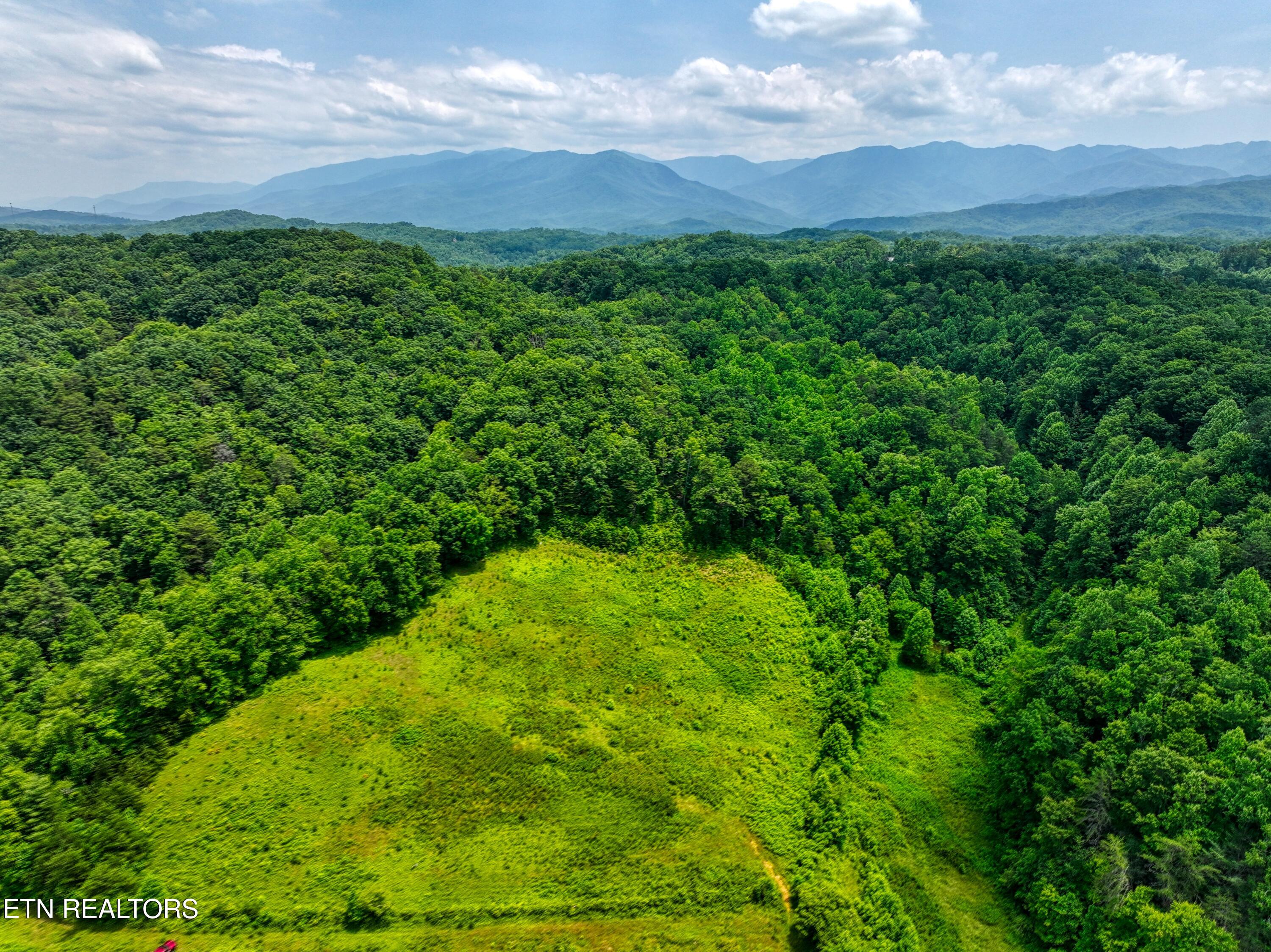 Birds Creek Road Gatlinburg, TN 37738 - Photo 37 of 45 DJI_20250611134849_0952_D_87