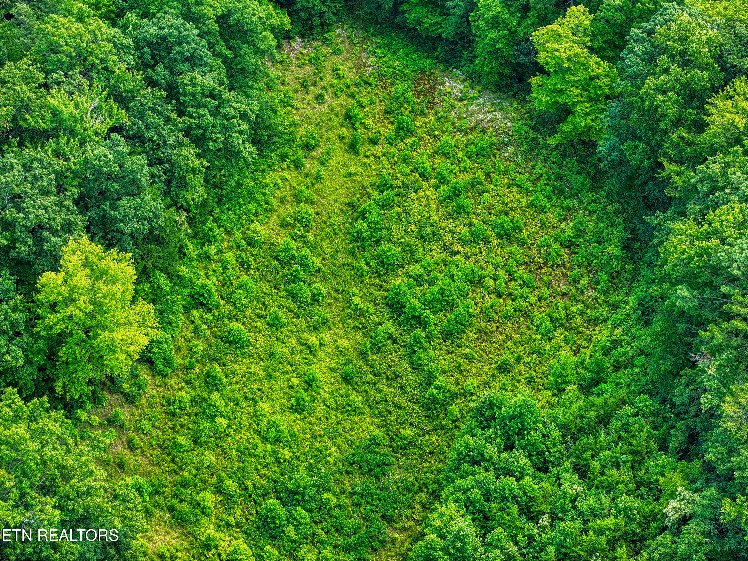 Birds Creek Road Gatlinburg, TN 37738 - Photo 39 of 45 DJI_20250715140908_0864_D_51
