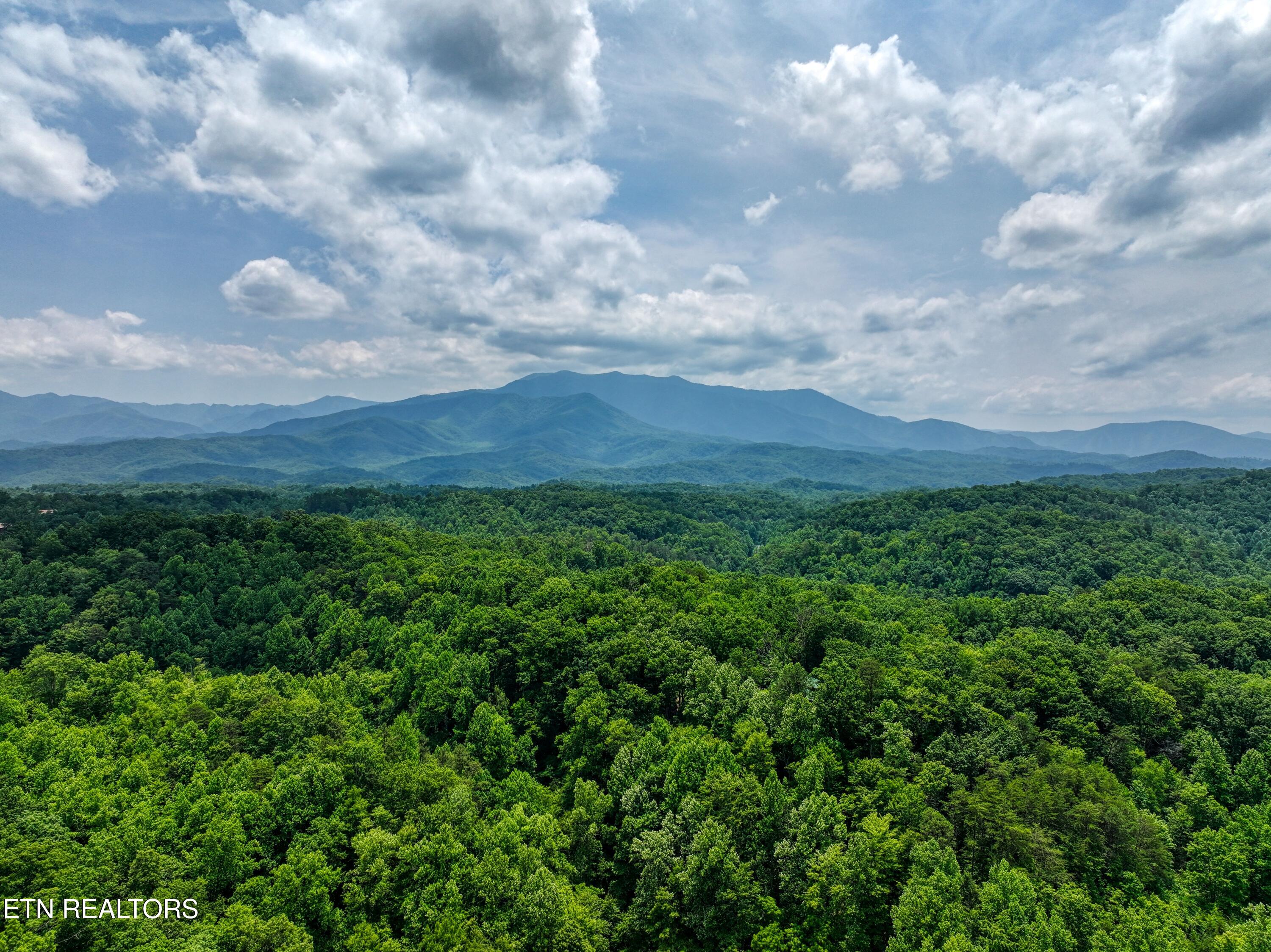 Birds Creek Road Gatlinburg, TN 37738 - Photo 42 of 45 DJI_20250611134446_0926_D_82