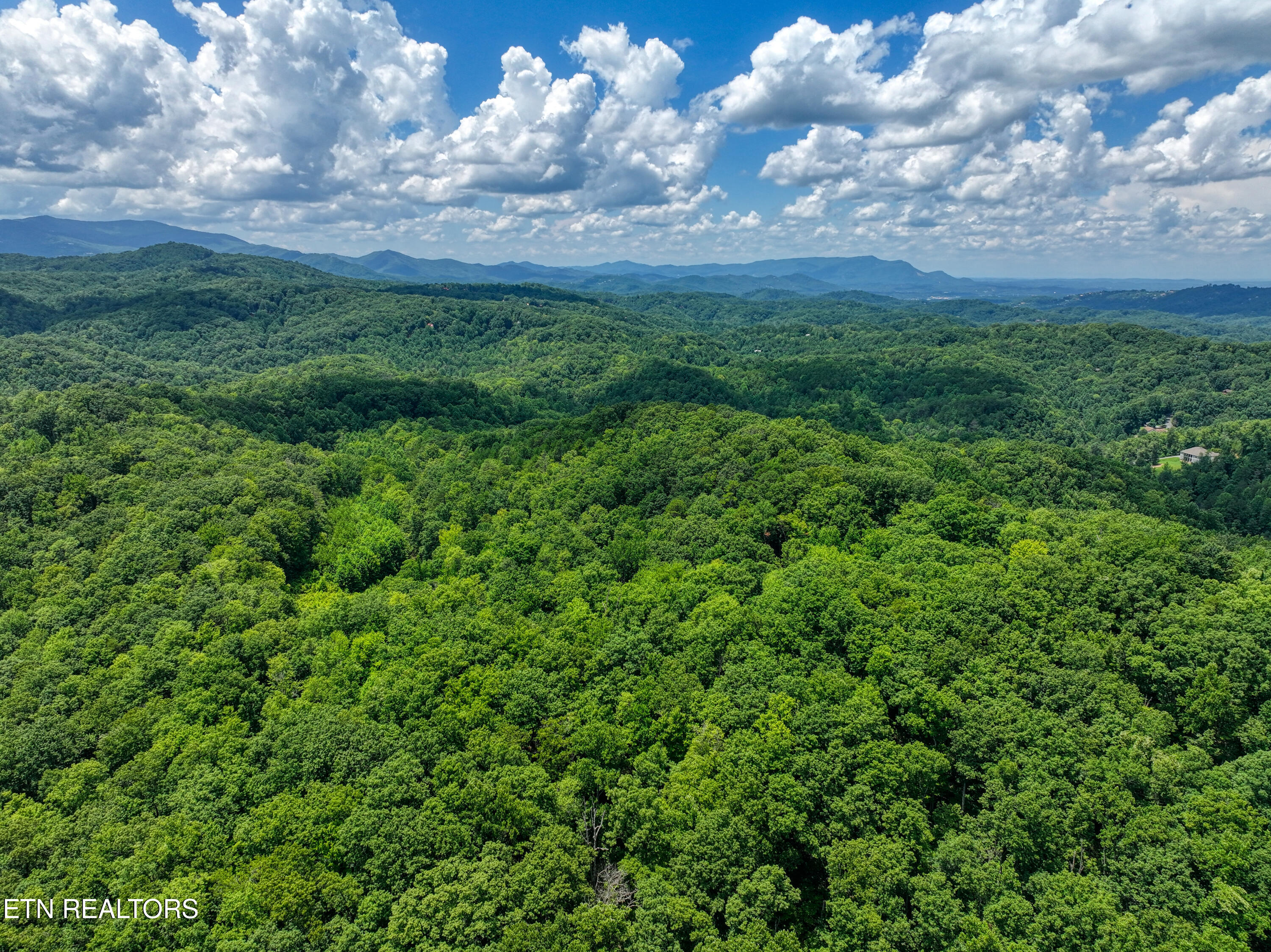 Birds Creek Road Gatlinburg, TN 37738 - Photo 43 of 45 DJI_20250715140212_0836_D_44