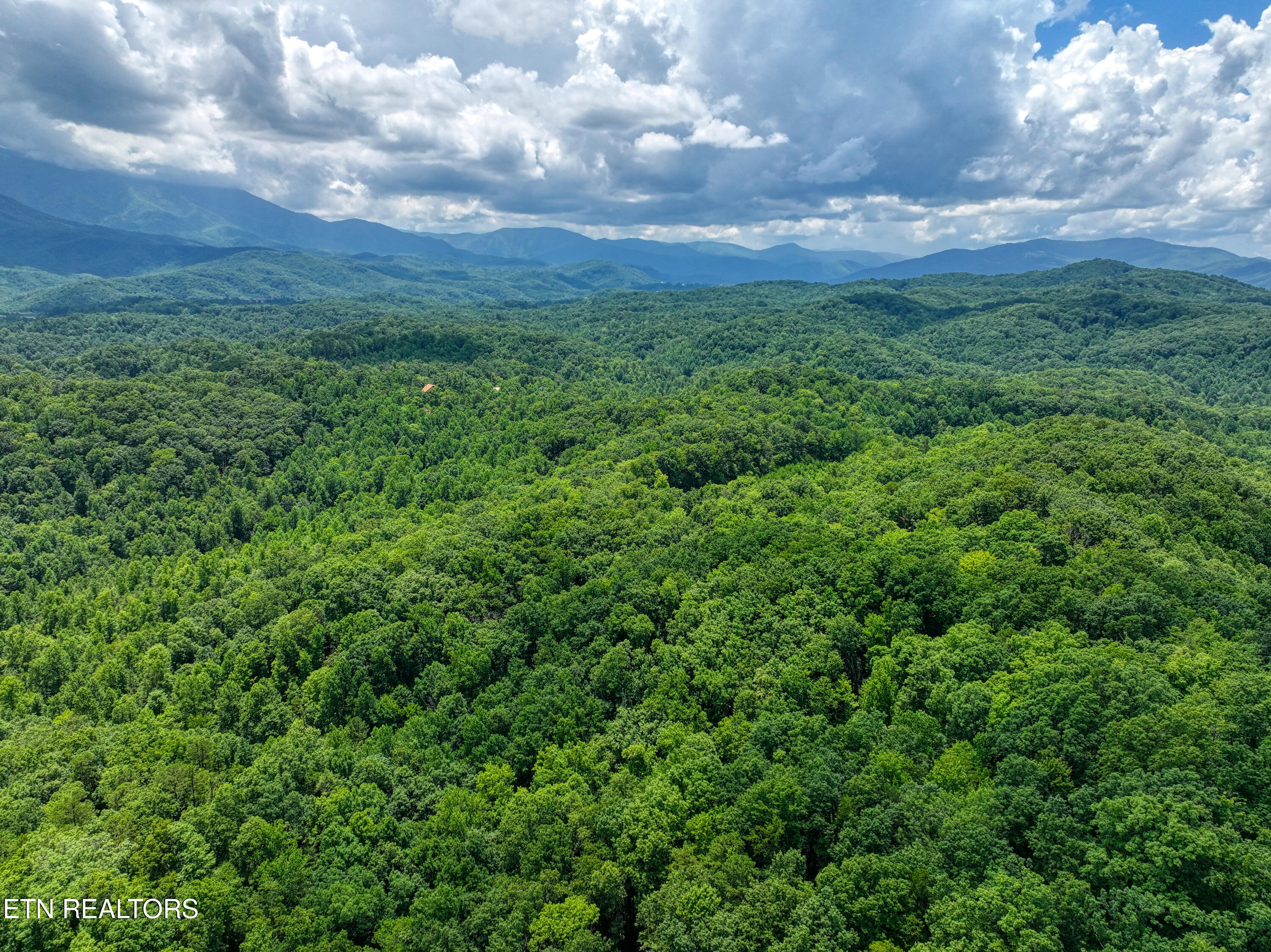 Birds Creek Road Gatlinburg, TN 37738 - Photo 44 of 45 DJI_20250715140053_0830_D_43