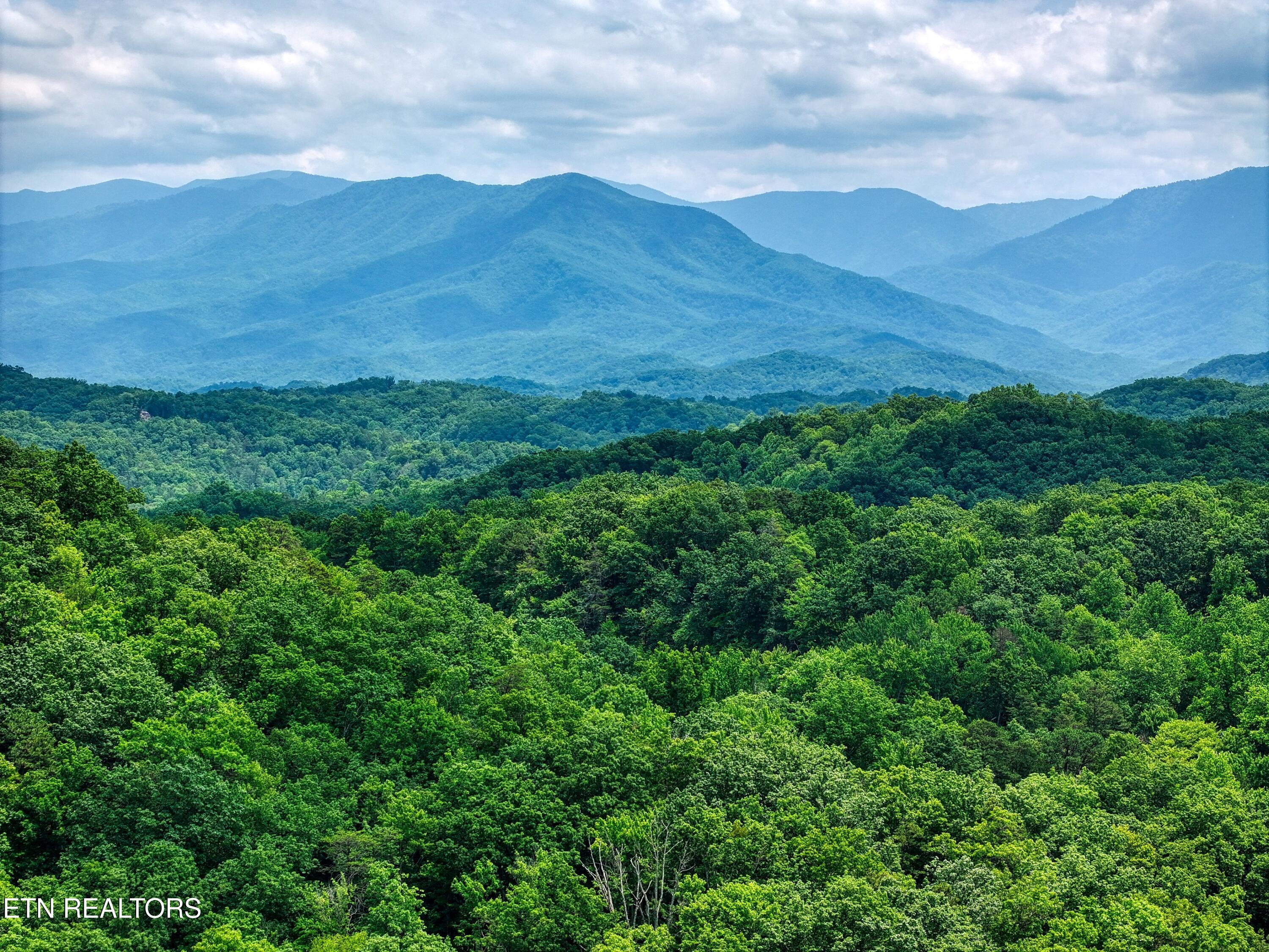 Birds Creek Road Gatlinburg, TN 37738 - Photo 45 of 45 DJI_20250611134429_0906_D_78