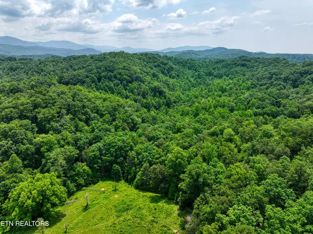 $6,500,000 | Birds Creek Road, Gatlinburg, TN 37738
