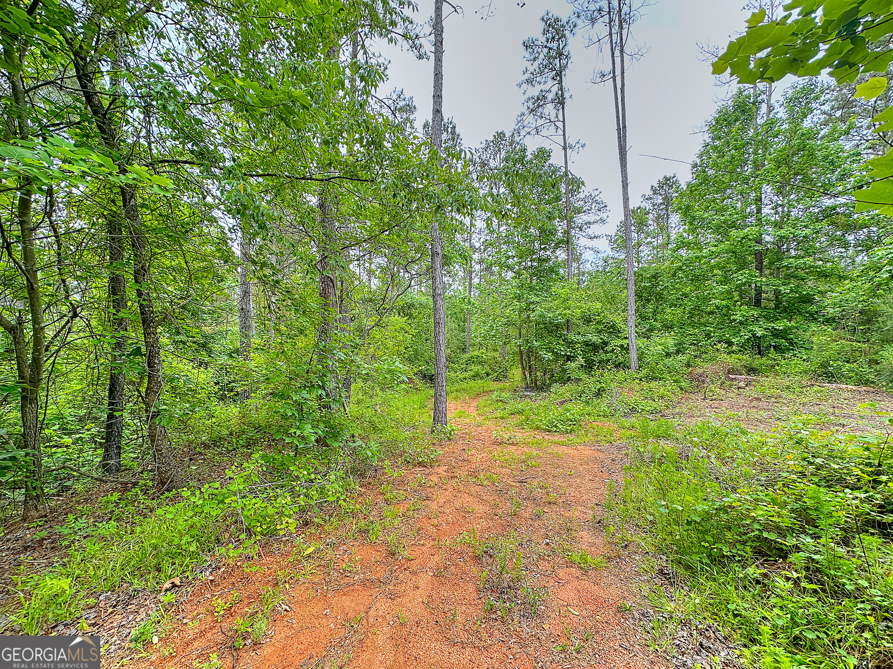 0 Rollin Mill, Unit TRACT 6 Franklin, GA 30217 - Photo 1 of 19 a view of a yard with a tree
