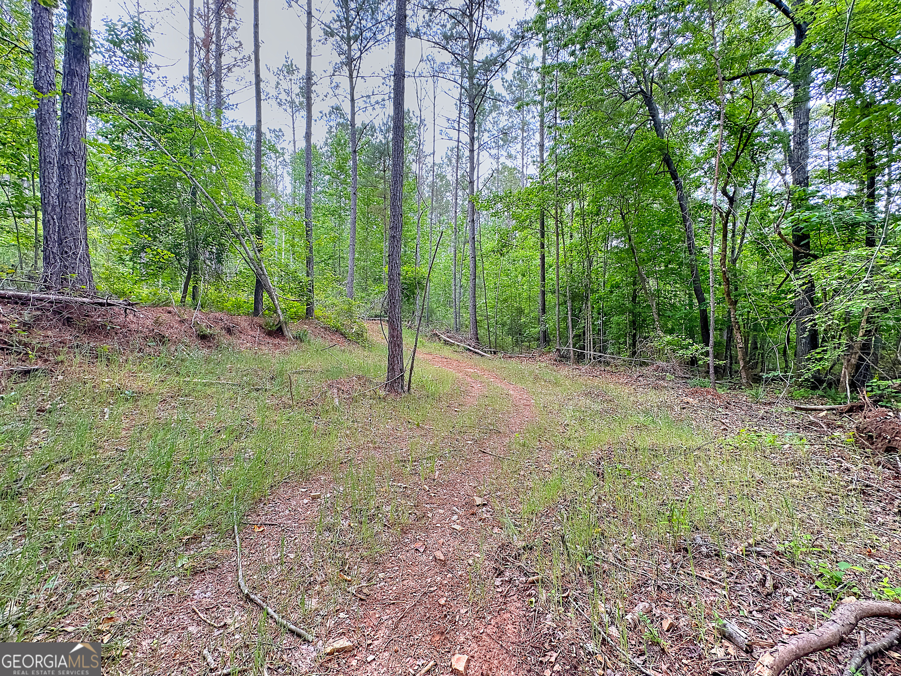 0 Rollin Mill, Unit TRACT 6 Franklin, GA 30217 - Photo 11 of 19 a view of a yard with trees in the background