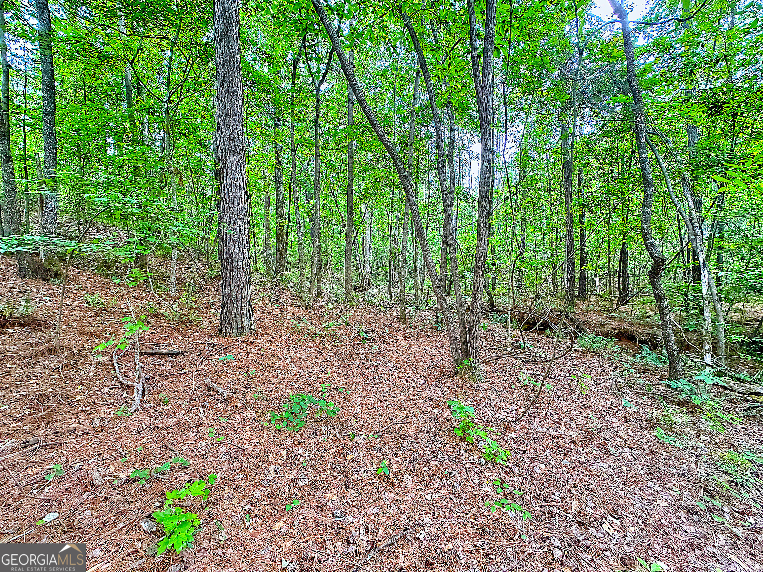 0 Rollin Mill, Unit TRACT 6 Franklin, GA 30217 - Photo 12 of 19 a view of outdoor space with green space