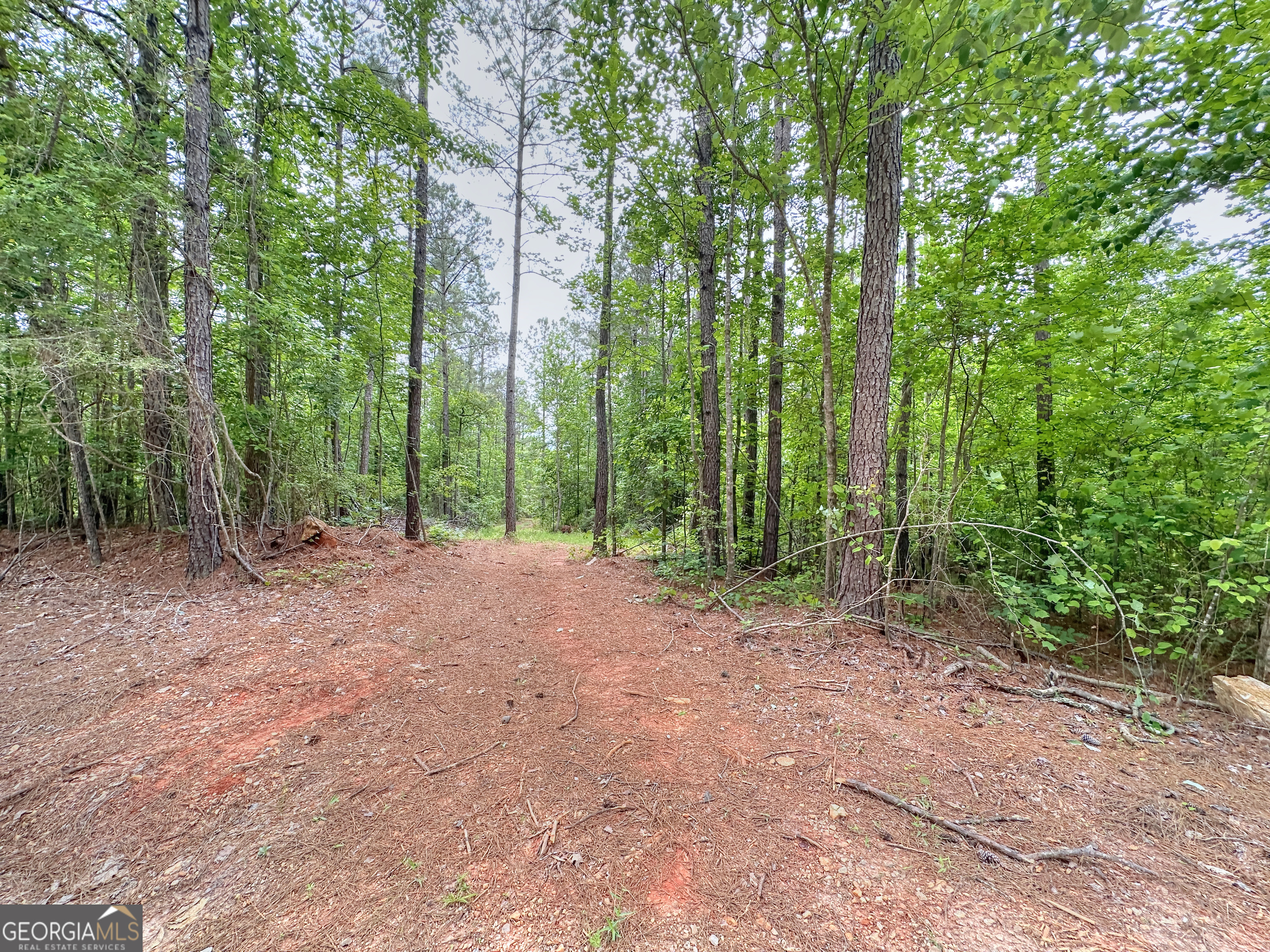 0 Rollin Mill, Unit TRACT 6 Franklin, GA 30217 - Photo 15 of 19 a view of a forest with trees in the background