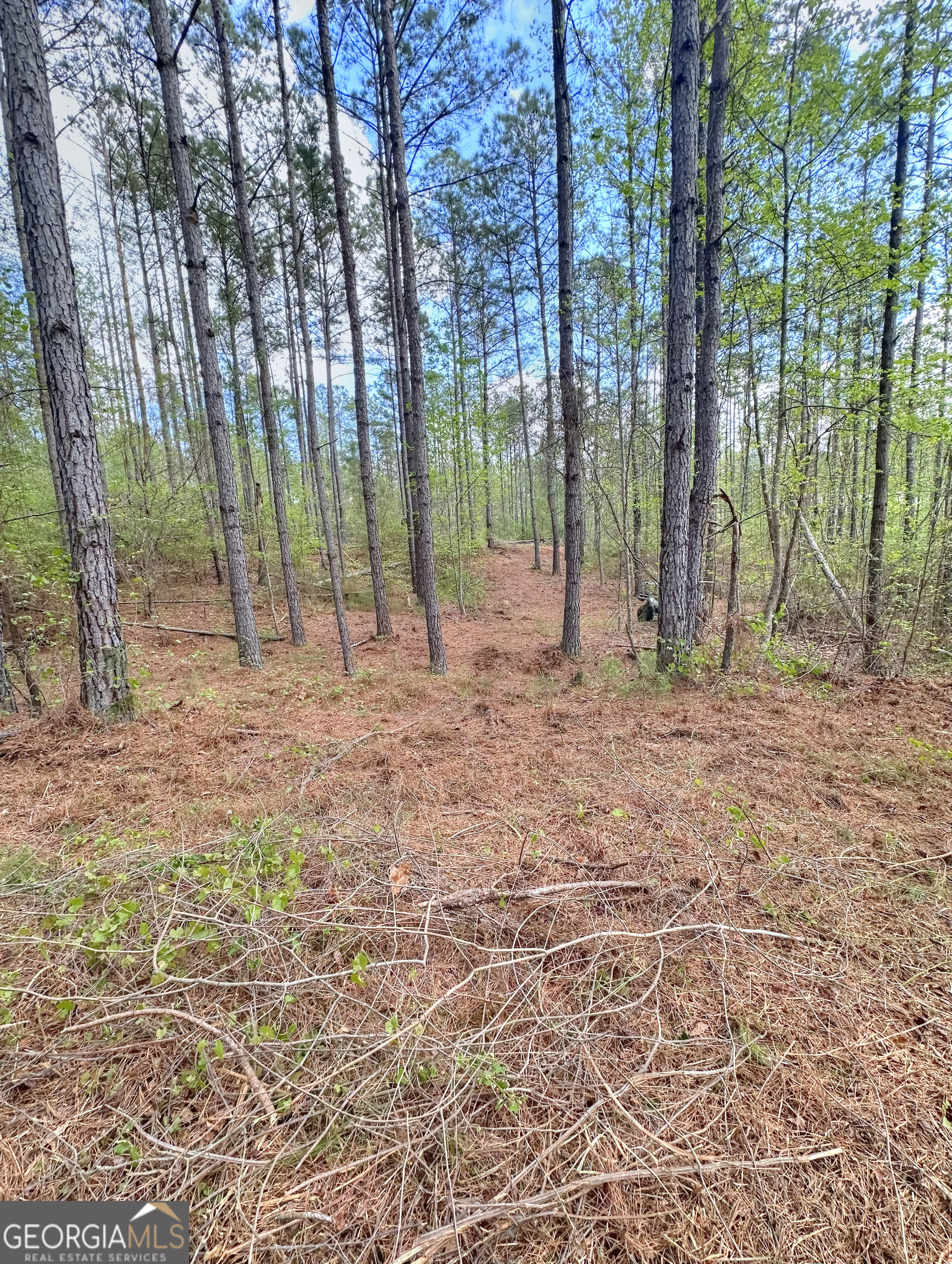 0 Rollin Mill, Unit TRACT 6 Franklin, GA 30217 - Photo 17 of 19 a backyard of a house with large trees and a small yard