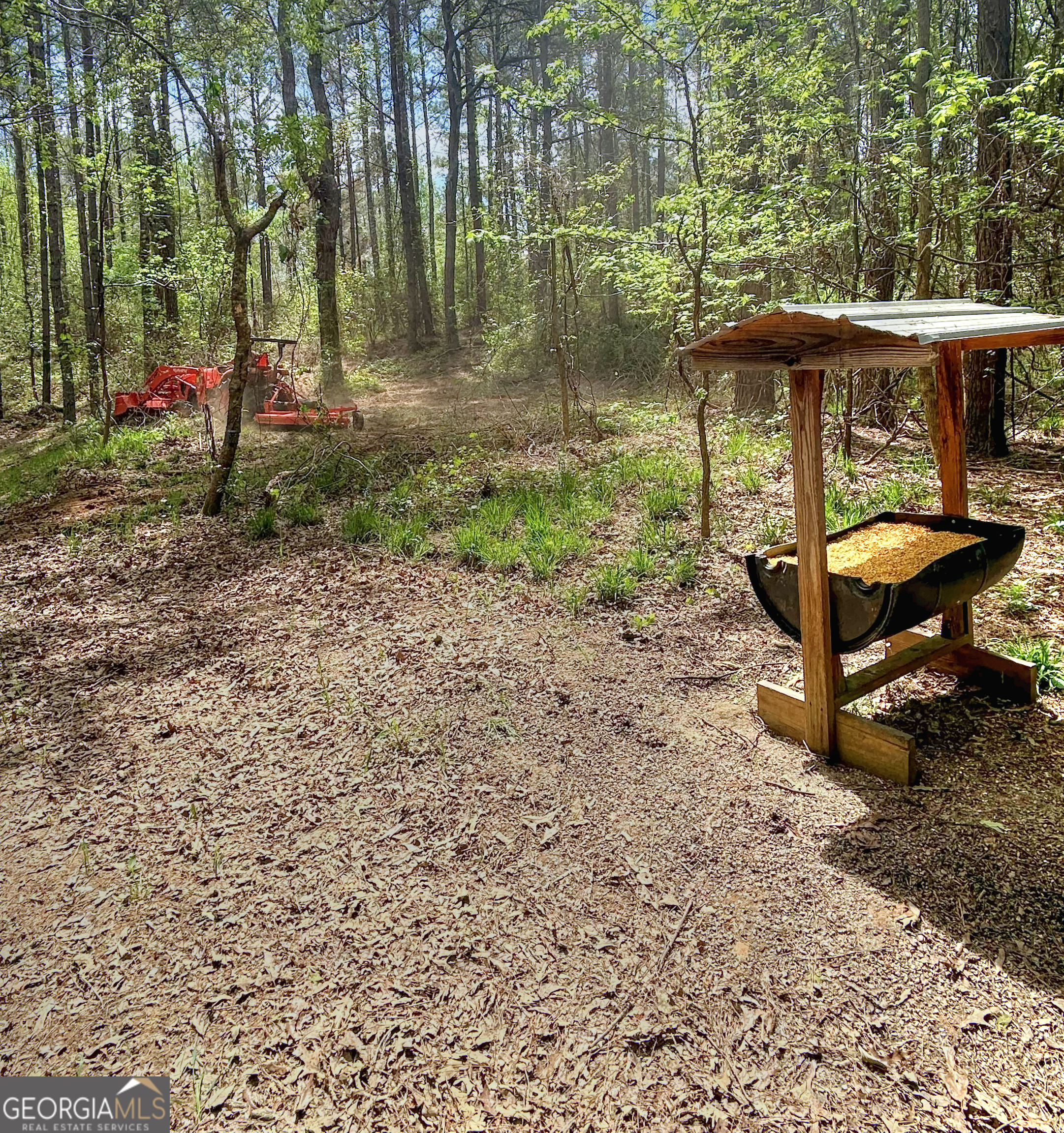 0 Rollin Mill, Unit TRACT 6 Franklin, GA 30217 - Photo 18 of 19 a view of a backyard with table and chairs under an umbrella