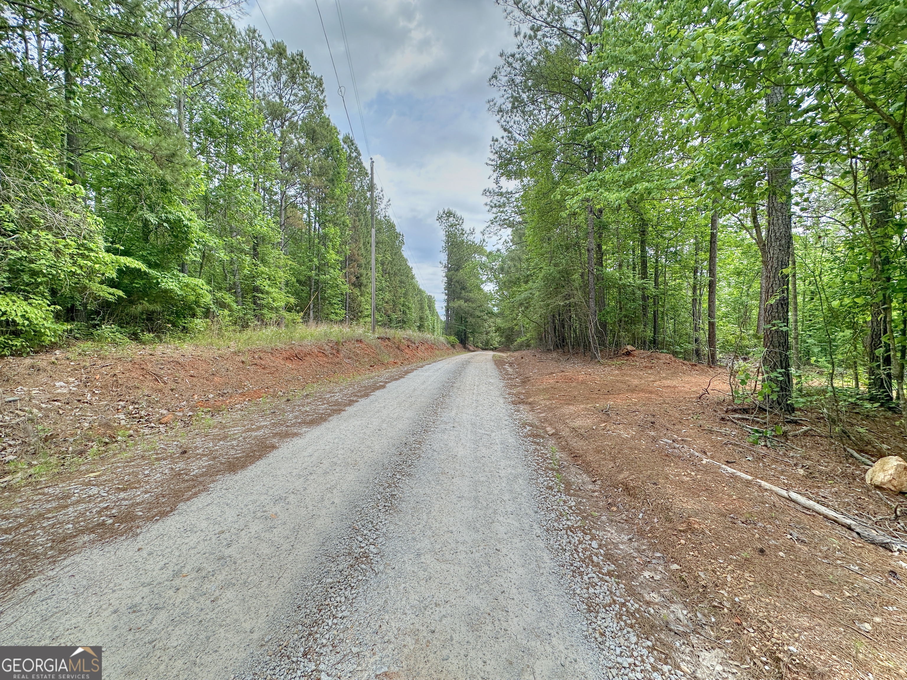 0 Rollin Mill, Unit TRACT 6 Franklin, GA 30217 - Photo 19 of 19 a view of a dirt road with trees in the background